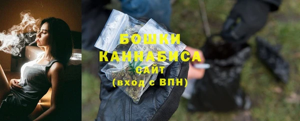 шишки Горно-Алтайск