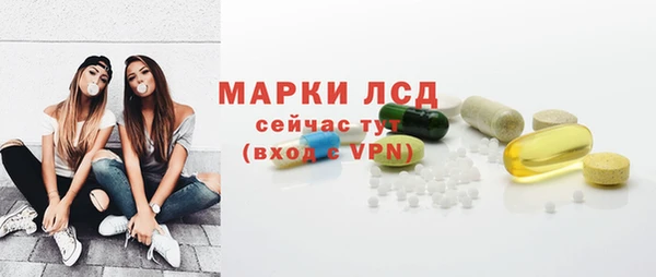 шишки Горно-Алтайск