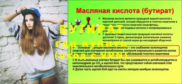 шишки Горно-Алтайск