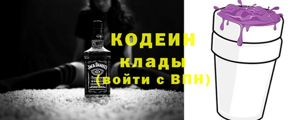 шишки Горно-Алтайск