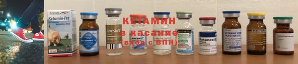 шишки Горно-Алтайск