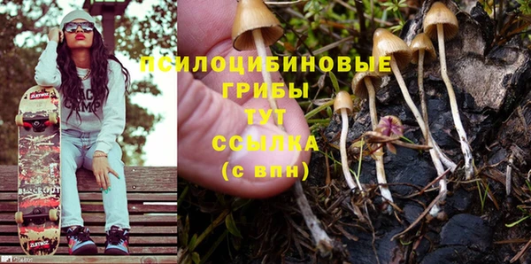 шишки Горно-Алтайск