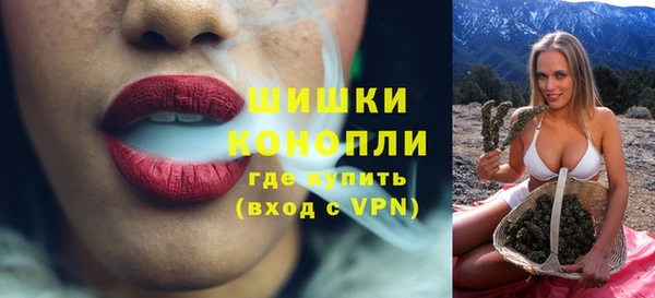 шишки Горно-Алтайск